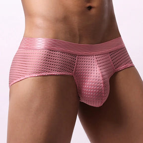 Mesh Bulge Briefs