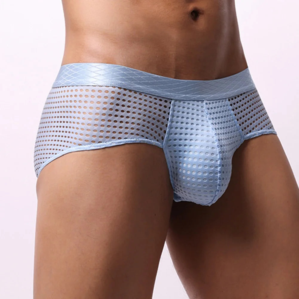 Mesh Bulge Briefs