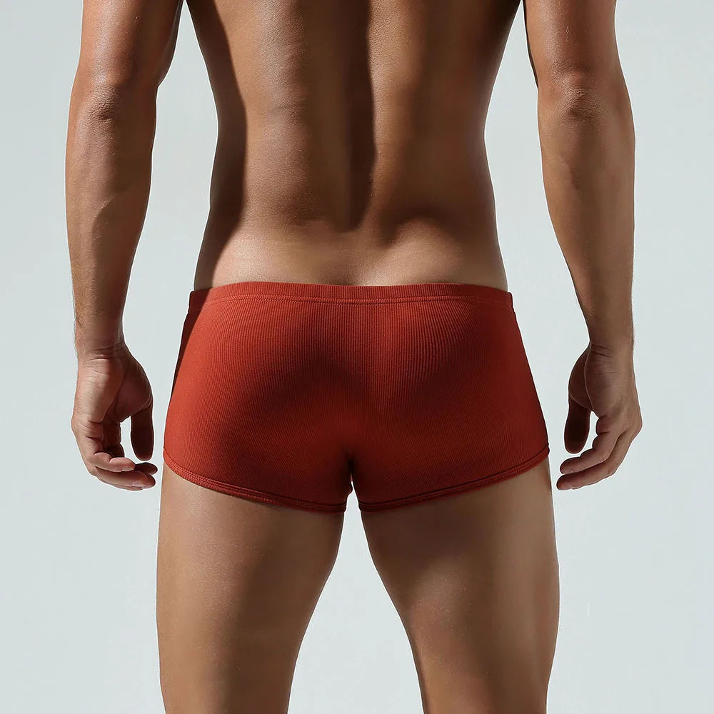 Bond Ribbed Briefs