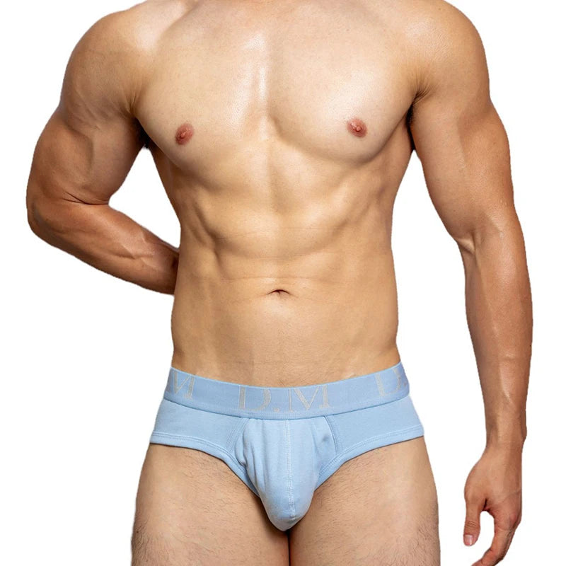 DM Retro Briefs