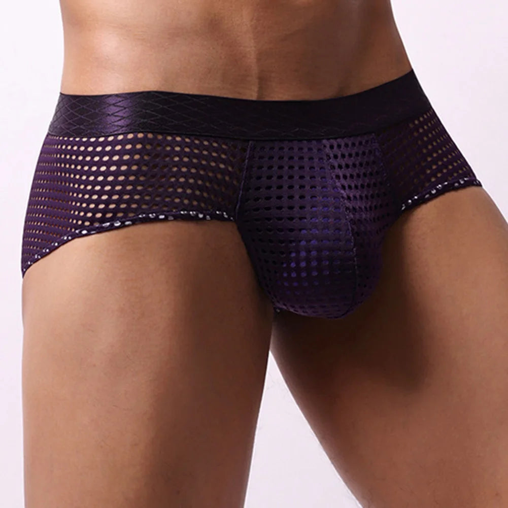 Mesh Bulge Briefs