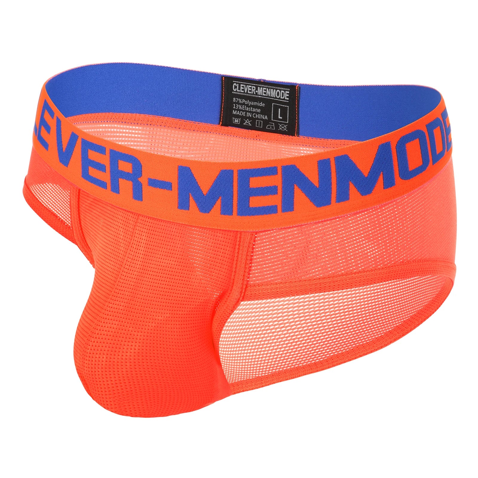 Neon Mesh Briefs