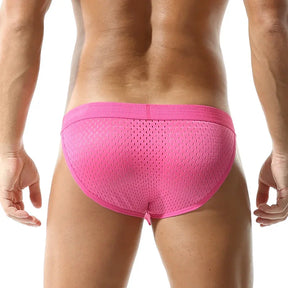 Perfect Mesh Briefs