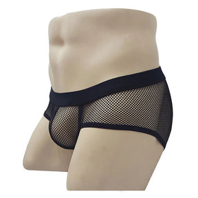 Sheer Fishnet Briefs