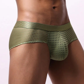 Mesh Bulge Briefs