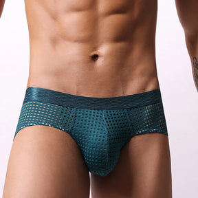 Mesh Bulge Briefs