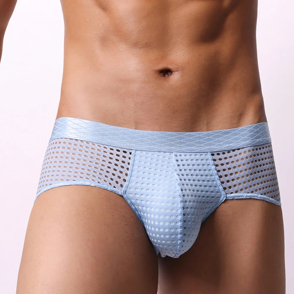 Mesh Bulge Briefs