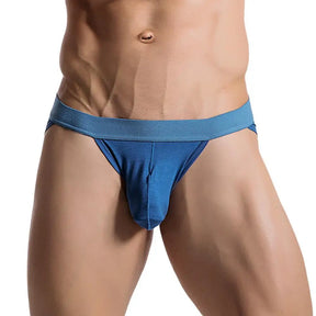 Silky Pouch Briefs