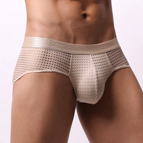 Mesh Bulge Briefs