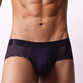 Mesh Bulge Briefs