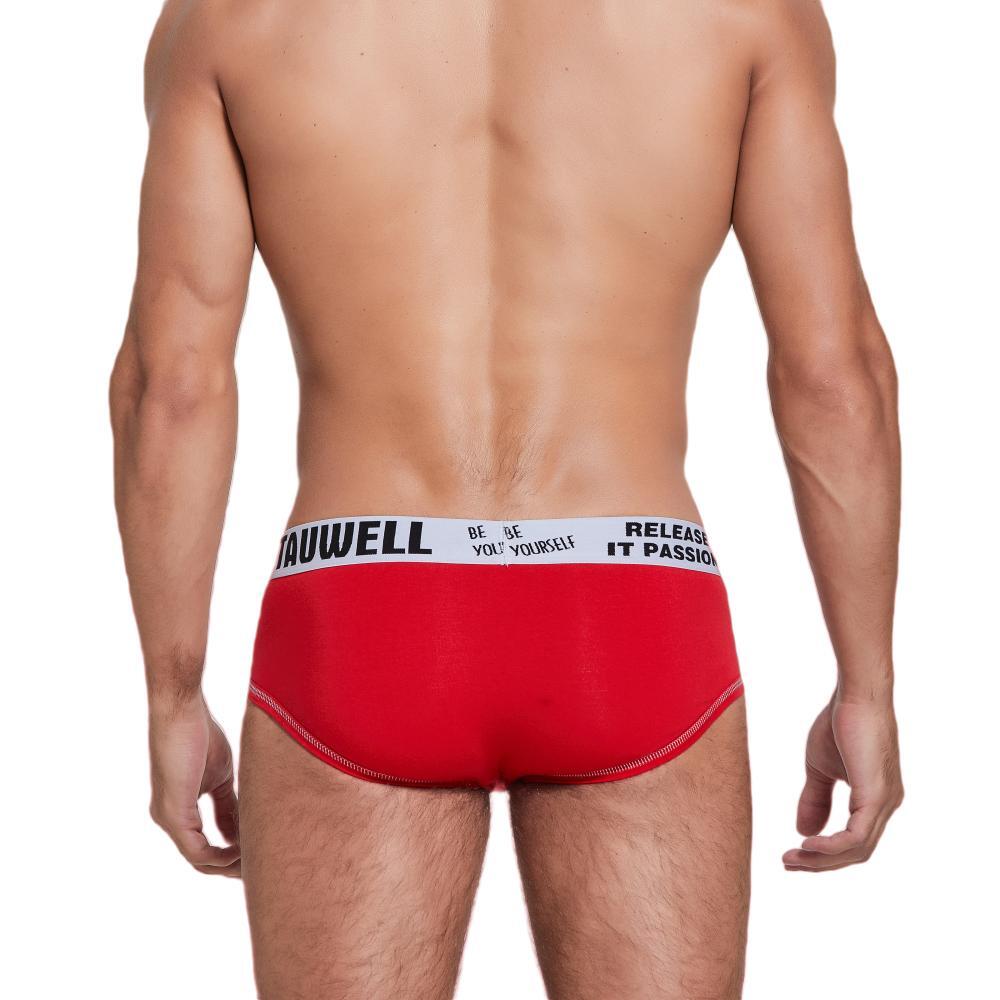 Barcode Berlin - Mens Underwear - Sexy Briefs for Men - Backless